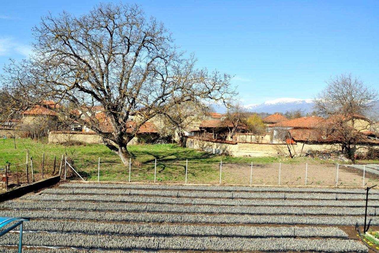 Vila V S. Gabarevo, Dolinata Na Rozite. Villa Exterior foto