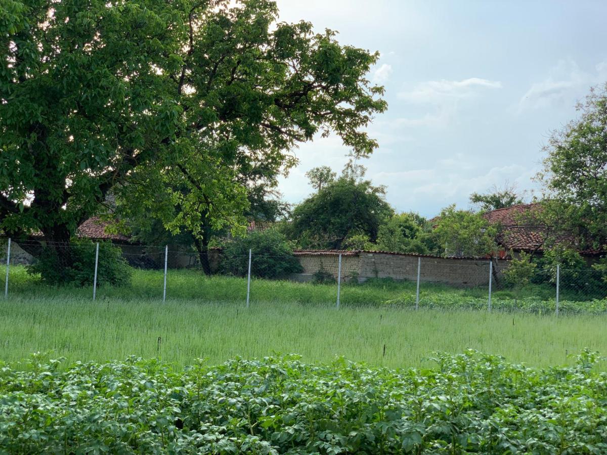 Vila V S. Gabarevo, Dolinata Na Rozite. Villa Exterior foto